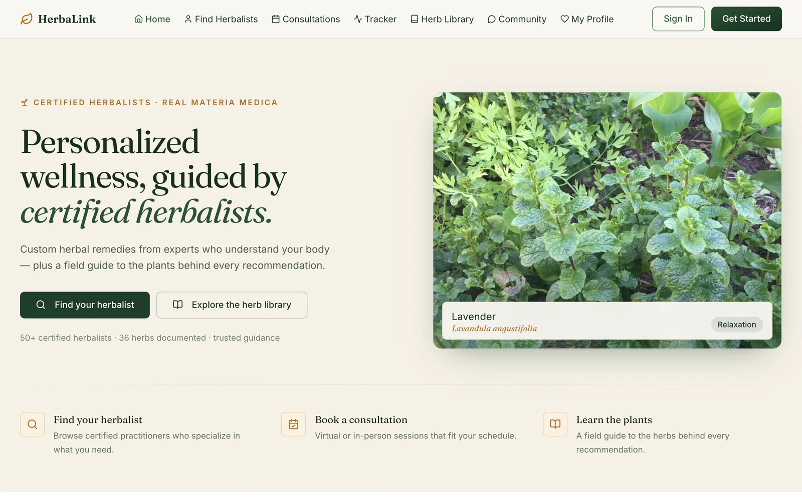 HerbaLink web app: the home screen for finding a certified herbalist, with the herb field guide alongside