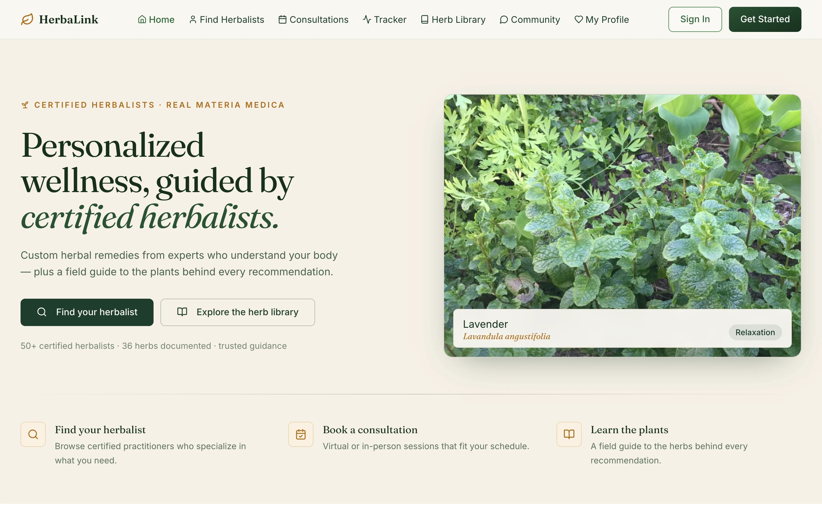 HerbaLink homepage — personalized wellness guided by certified herbalists